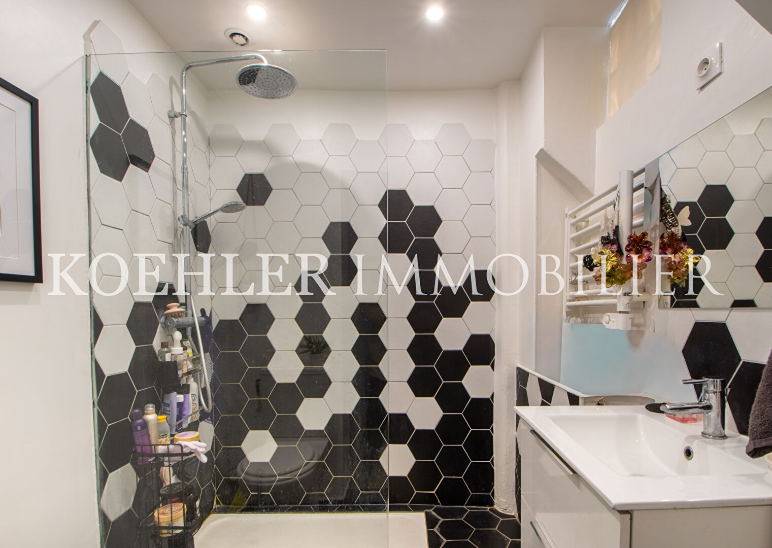 APPARTEMENT - LE RAINCY - 04